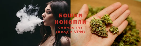 ПСИЛОЦИБИНОВЫЕ ГРИБЫ Краснослободск