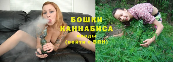 ПСИЛОЦИБИНОВЫЕ ГРИБЫ Краснослободск